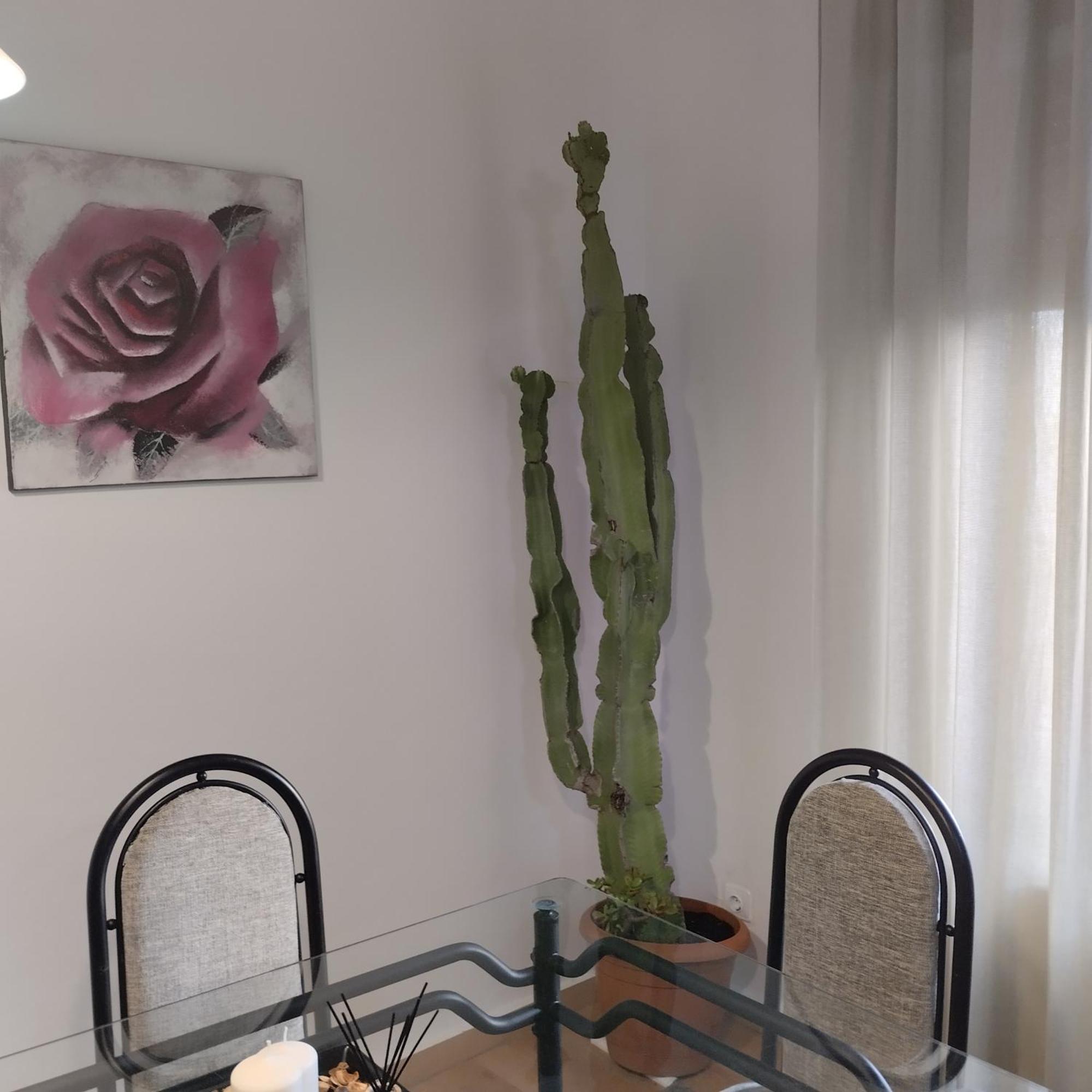 Apartamento Esperanza De La Yedra Jerez de la Frontera Exterior photo